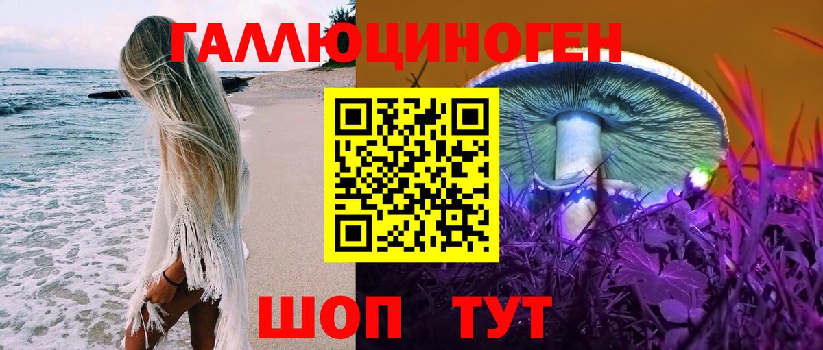 Псилоцибиновые грибы прущие грибы Бийск