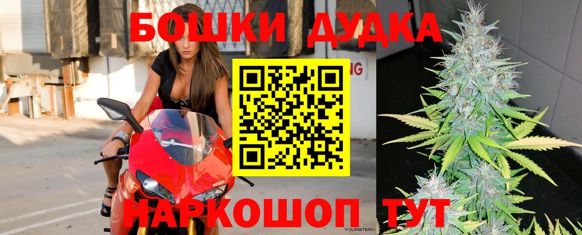 Канабис семена  Конопля AK-47  Вход с VPN  Конопля план  Бийск 